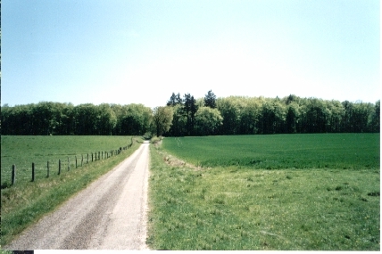 Photo du chemin