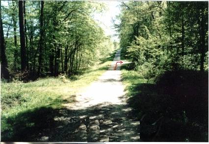 Photo du chemin