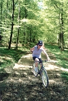 Photo du chemin