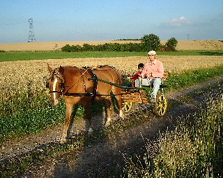 Photo du chemin