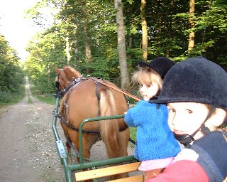 Photo du chemin